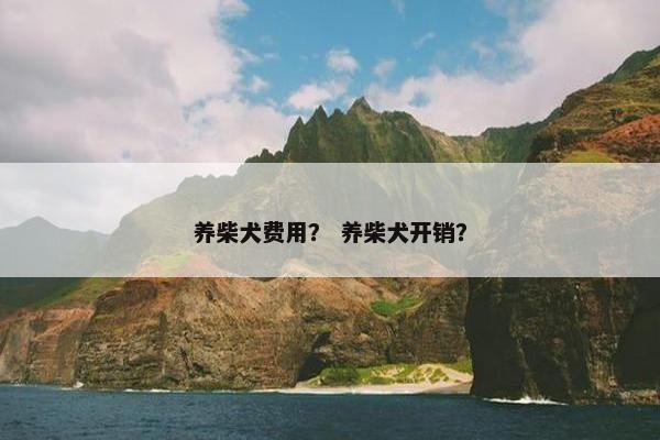 养柴犬费用？ 养柴犬开销？