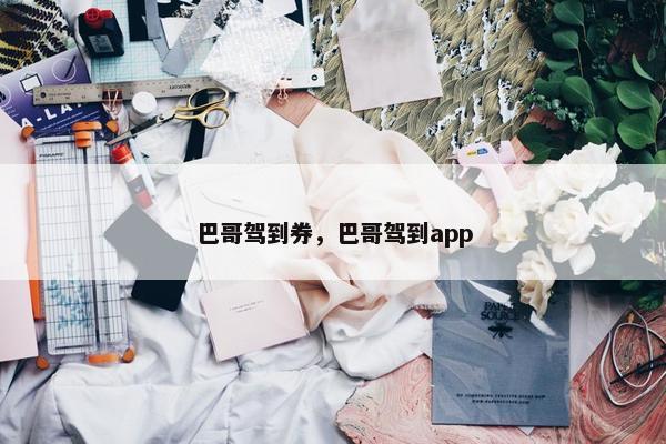 巴哥驾到券，巴哥驾到app