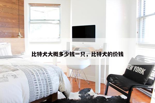 比特犬大概多少钱一只，比特犬的价钱
