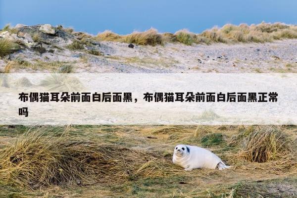 布偶猫耳朵前面白后面黑，布偶猫耳朵前面白后面黑正常吗