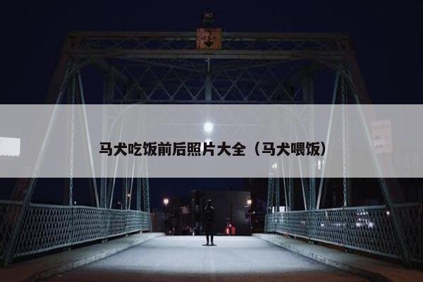 马犬吃饭前后照片大全（马犬喂饭）