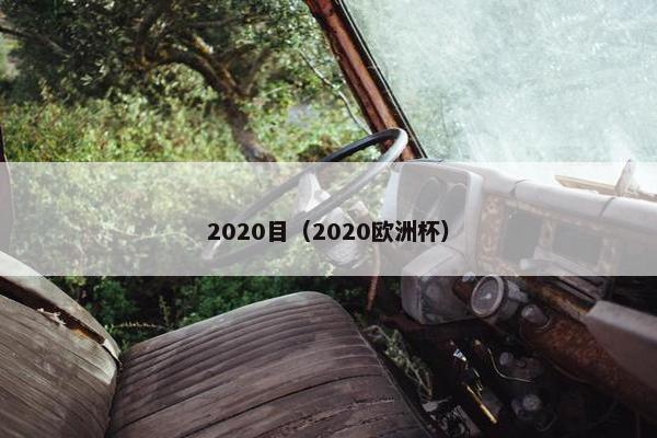 2020目（2020欧洲杯）