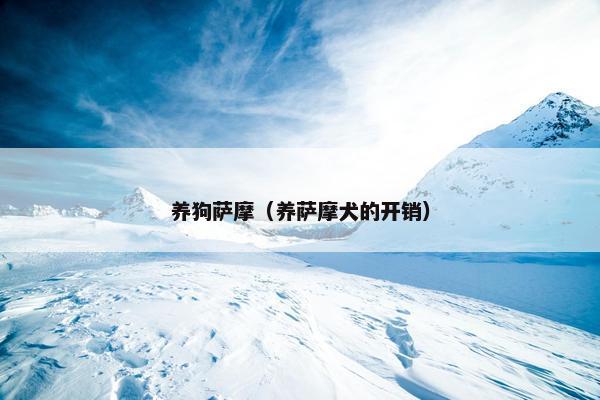 养狗萨摩（养萨摩犬的开销）