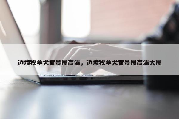 边境牧羊犬背景图高清，边境牧羊犬背景图高清大图