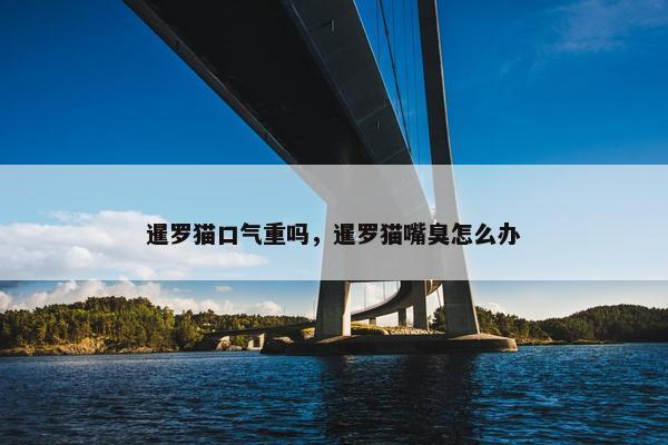 暹罗猫口气重吗，暹罗猫嘴臭怎么办