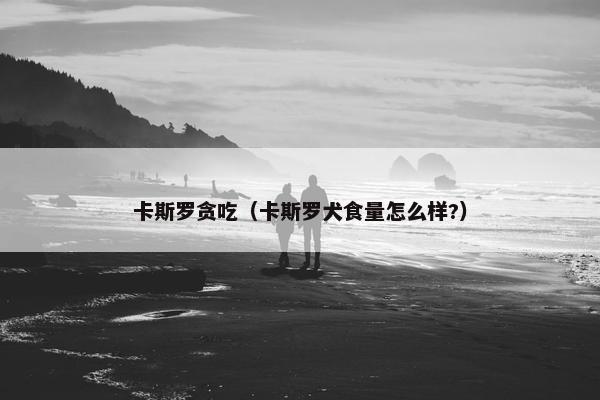 卡斯罗贪吃（卡斯罗犬食量怎么样?）