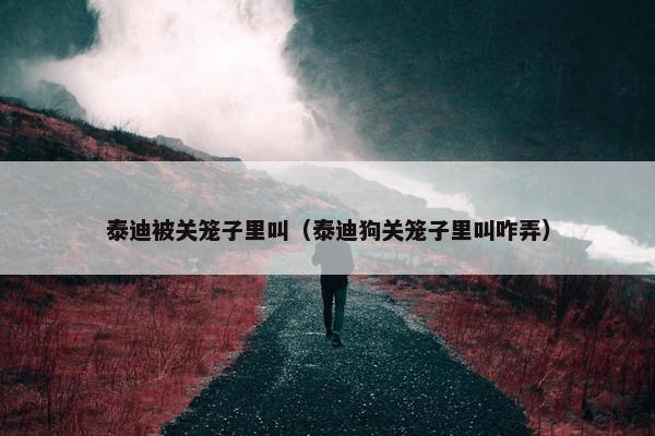 泰迪被关笼子里叫（泰迪狗关笼子里叫咋弄）