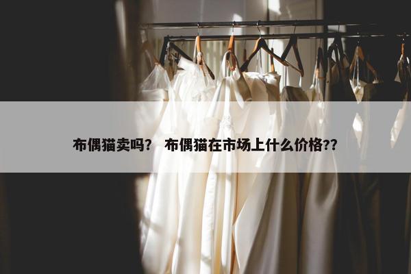 布偶猫卖吗？ 布偶猫在市场上什么价格?？
