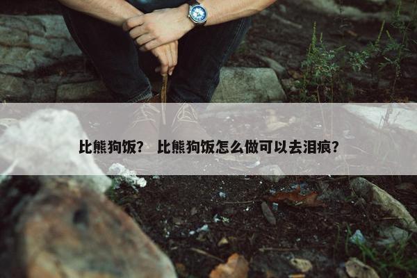比熊狗饭？ 比熊狗饭怎么做可以去泪痕？