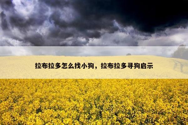 拉布拉多怎么找小狗，拉布拉多寻狗启示