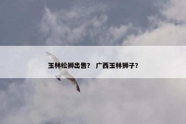 玉林松狮出售？ 广西玉林狮子？