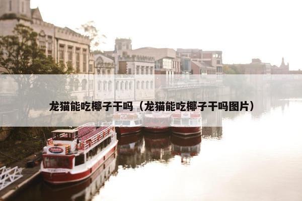 龙猫能吃椰子干吗（龙猫能吃椰子干吗图片）