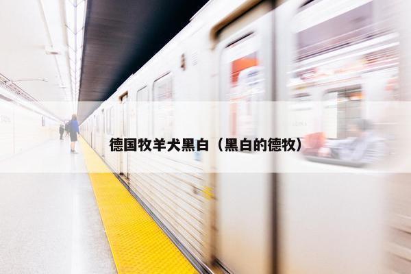 德国牧羊犬黑白（黑白的德牧）