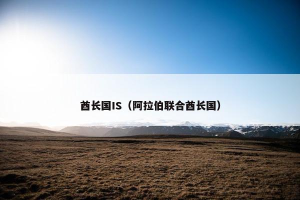 酋长国IS（阿拉伯联合酋长国）