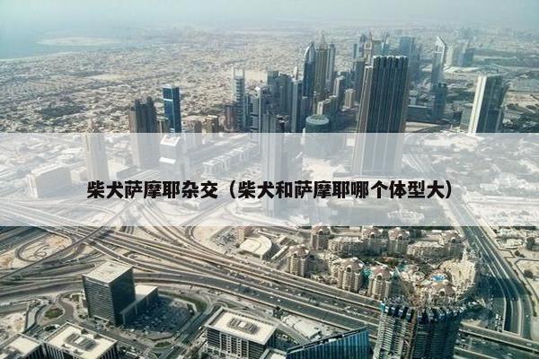 柴犬萨摩耶杂交（柴犬和萨摩耶哪个体型大）