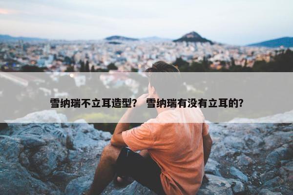 雪纳瑞不立耳造型？ 雪纳瑞有没有立耳的？