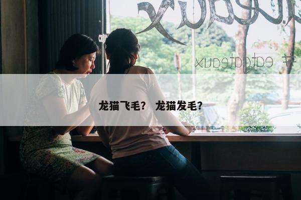 龙猫飞毛？ 龙猫发毛？