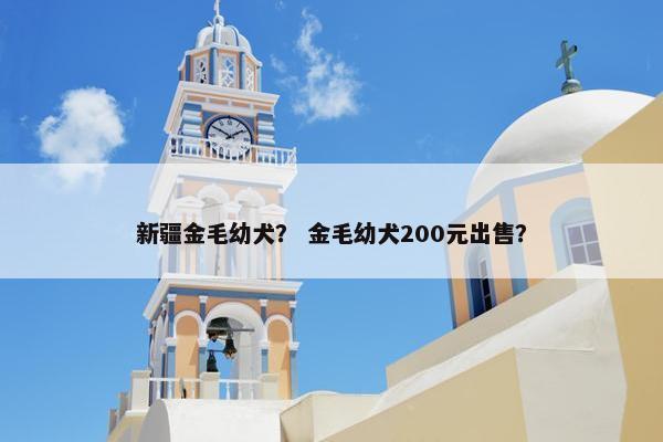 新疆金毛幼犬？ 金毛幼犬200元出售？