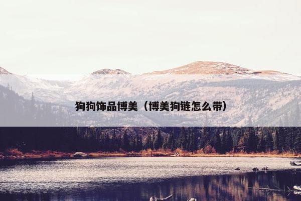 狗狗饰品博美（博美狗链怎么带）