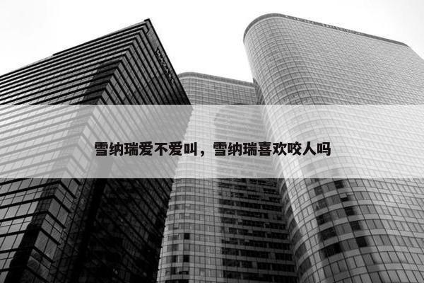雪纳瑞爱不爱叫，雪纳瑞喜欢咬人吗