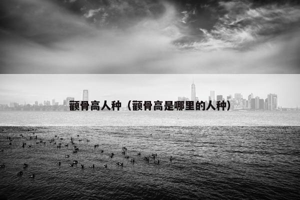 颧骨高人种（颧骨高是哪里的人种）