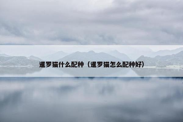 暹罗猫什么配种（暹罗猫怎么配种好）