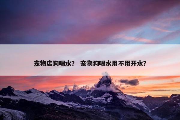 宠物店狗喝水？ 宠物狗喝水用不用开水？