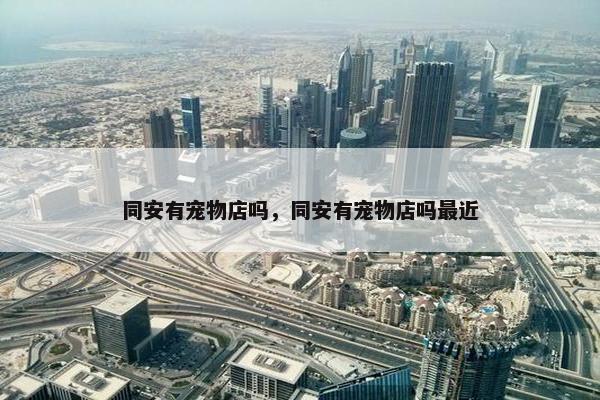 同安有宠物店吗，同安有宠物店吗最近