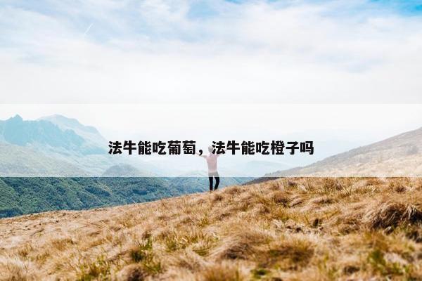 法牛能吃葡萄，法牛能吃橙子吗