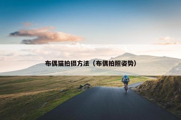 布偶猫拍摄方法（布偶拍照姿势）