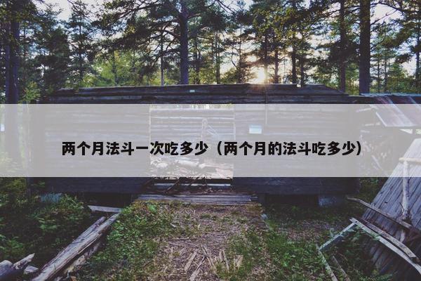 两个月法斗一次吃多少（两个月的法斗吃多少）