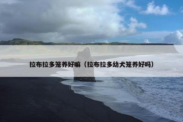 拉布拉多笼养好嘛（拉布拉多幼犬笼养好吗）