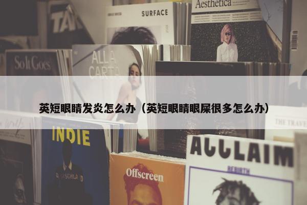 英短眼睛发炎怎么办（英短眼睛眼屎很多怎么办）