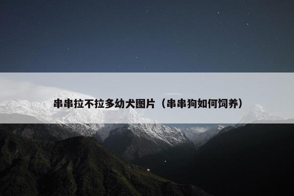 串串拉不拉多幼犬图片（串串狗如何饲养）
