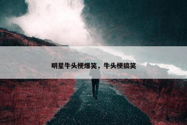 明星牛头梗爆笑，牛头梗搞笑
