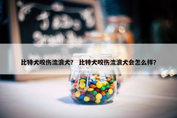 比特犬咬伤流浪犬？ 比特犬咬伤流浪犬会怎么样？