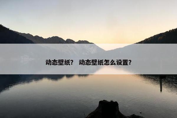 动态壁纸？ 动态壁纸怎么设置？