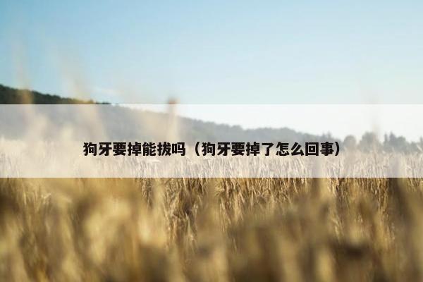 狗牙要掉能拔吗（狗牙要掉了怎么回事）
