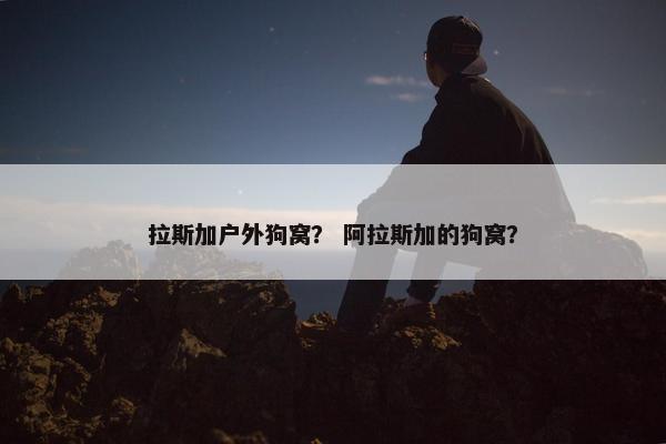拉斯加户外狗窝？ 阿拉斯加的狗窝？