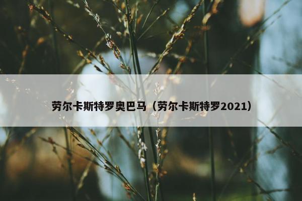 劳尔卡斯特罗奥巴马（劳尔卡斯特罗2021）