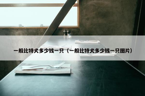 一般比特犬多少钱一只（一般比特犬多少钱一只图片）