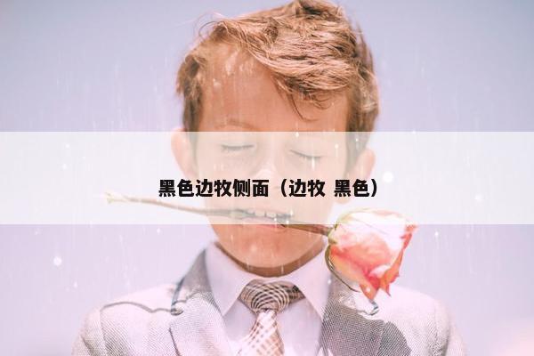 黑色边牧侧面（边牧 黑色）