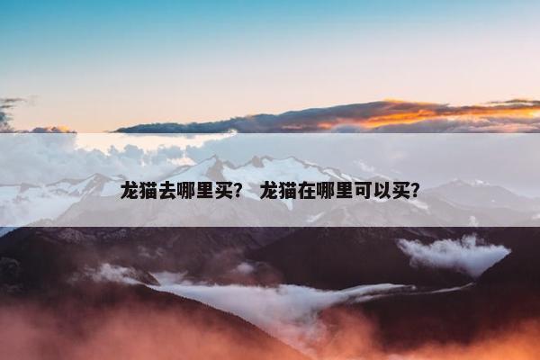 龙猫去哪里买？ 龙猫在哪里可以买？