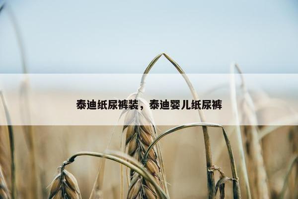 泰迪纸尿裤装，泰迪婴儿纸尿裤