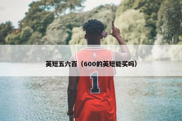 英短五六百（600的英短能买吗）