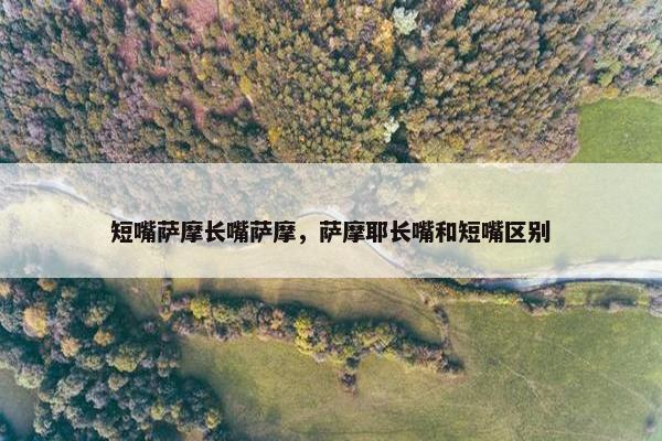 短嘴萨摩长嘴萨摩，萨摩耶长嘴和短嘴区别