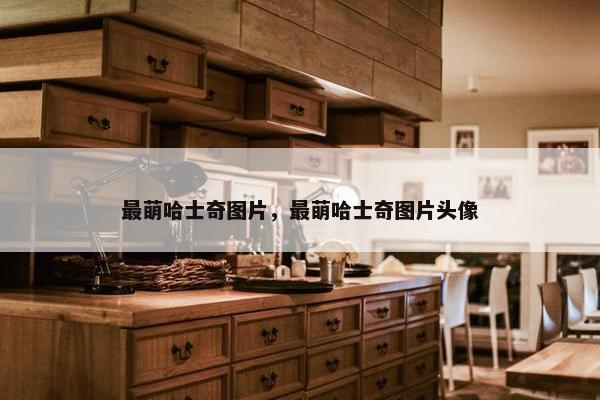 最萌哈士奇图片，最萌哈士奇图片头像
