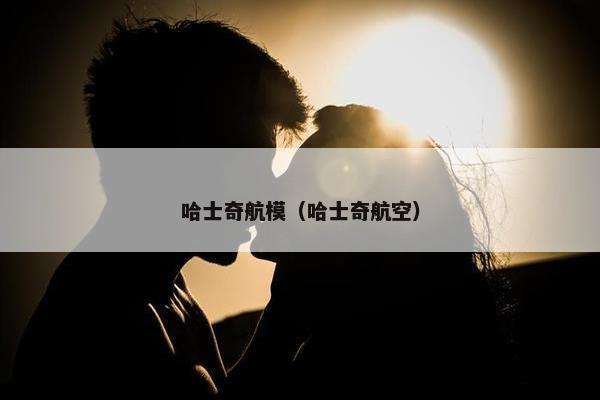 哈士奇航模（哈士奇航空）