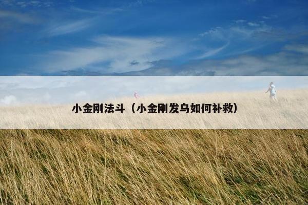 小金刚法斗（小金刚发乌如何补救）