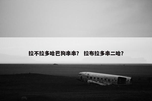 拉不拉多哈巴狗串串？ 拉布拉多串二哈？